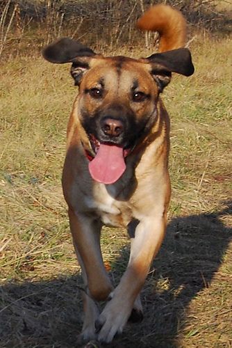 Ancient Arts Model Call Winner’s Circle