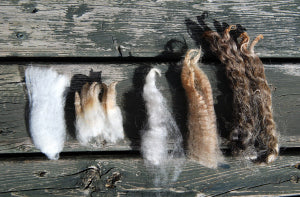 Curated by Caroline: On Choosing Yarns