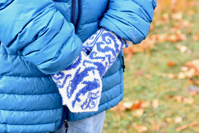 Frost-Cold Sea Hat and Mittens Kit