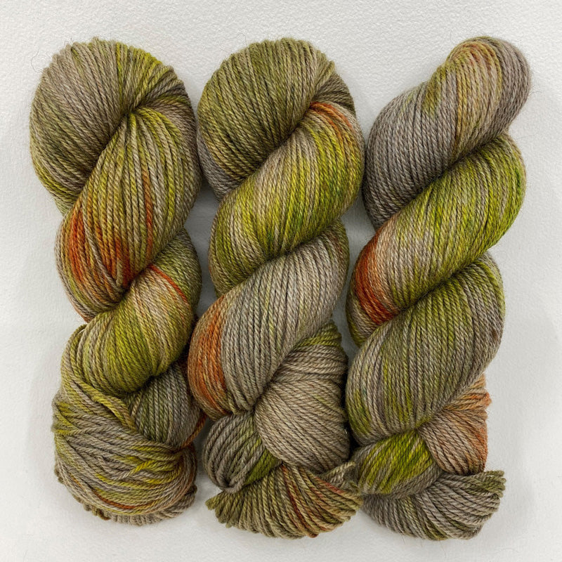 Lichen in Lascaux DK