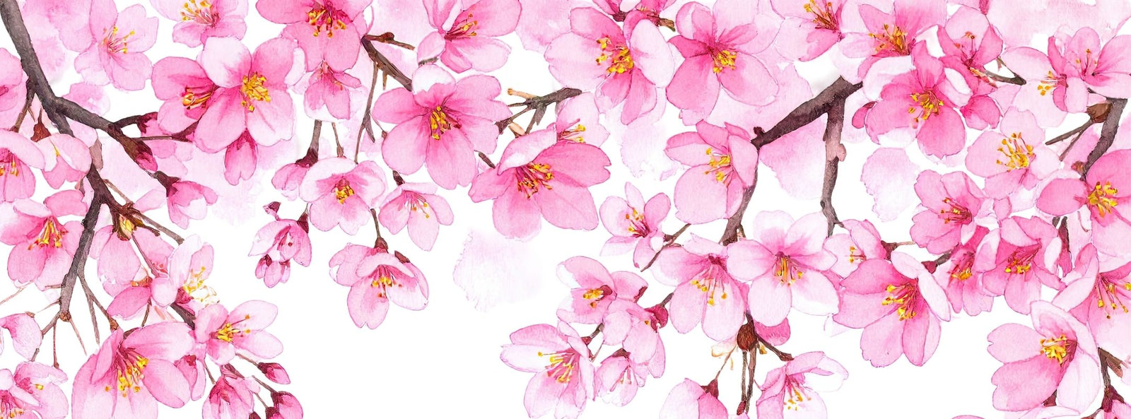 Cherry Blossom Festival