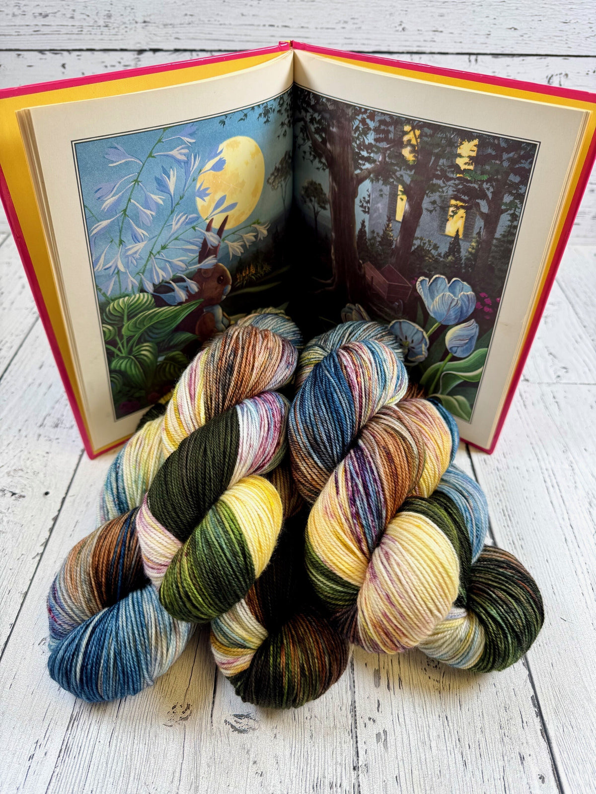 Colour of the Month Subscription Offerings - Socknado Fingering / Sock