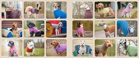Sweaters for Dogs: 15 Knitting Projects to Keep Your Dog Cozy and Comfortable (CompanionHouse Dogs) Step-by-Step Instructions for Hand-Knit Canine Clothes for Dogs of Any Size (Hardcover)