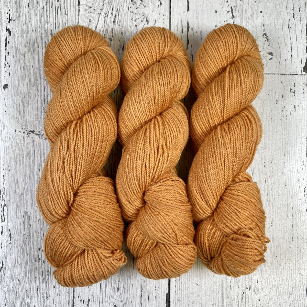 Apricot - Revival Fingering - Dyed Stock