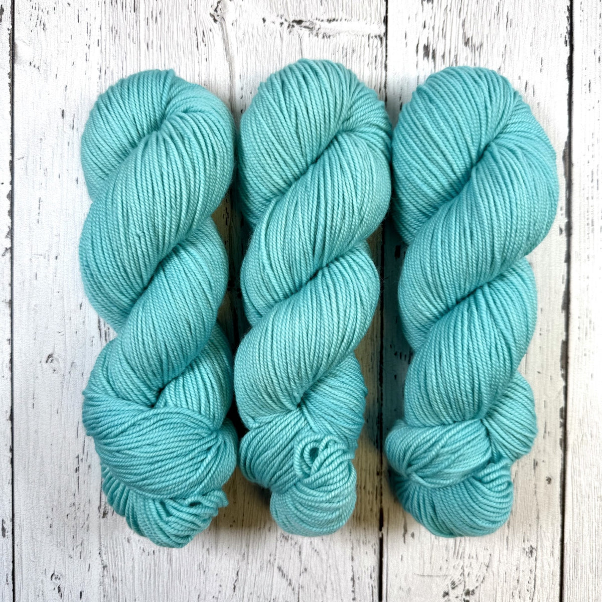 Beach Paradise - Merino DK / Light Worsted - Dyed Stock