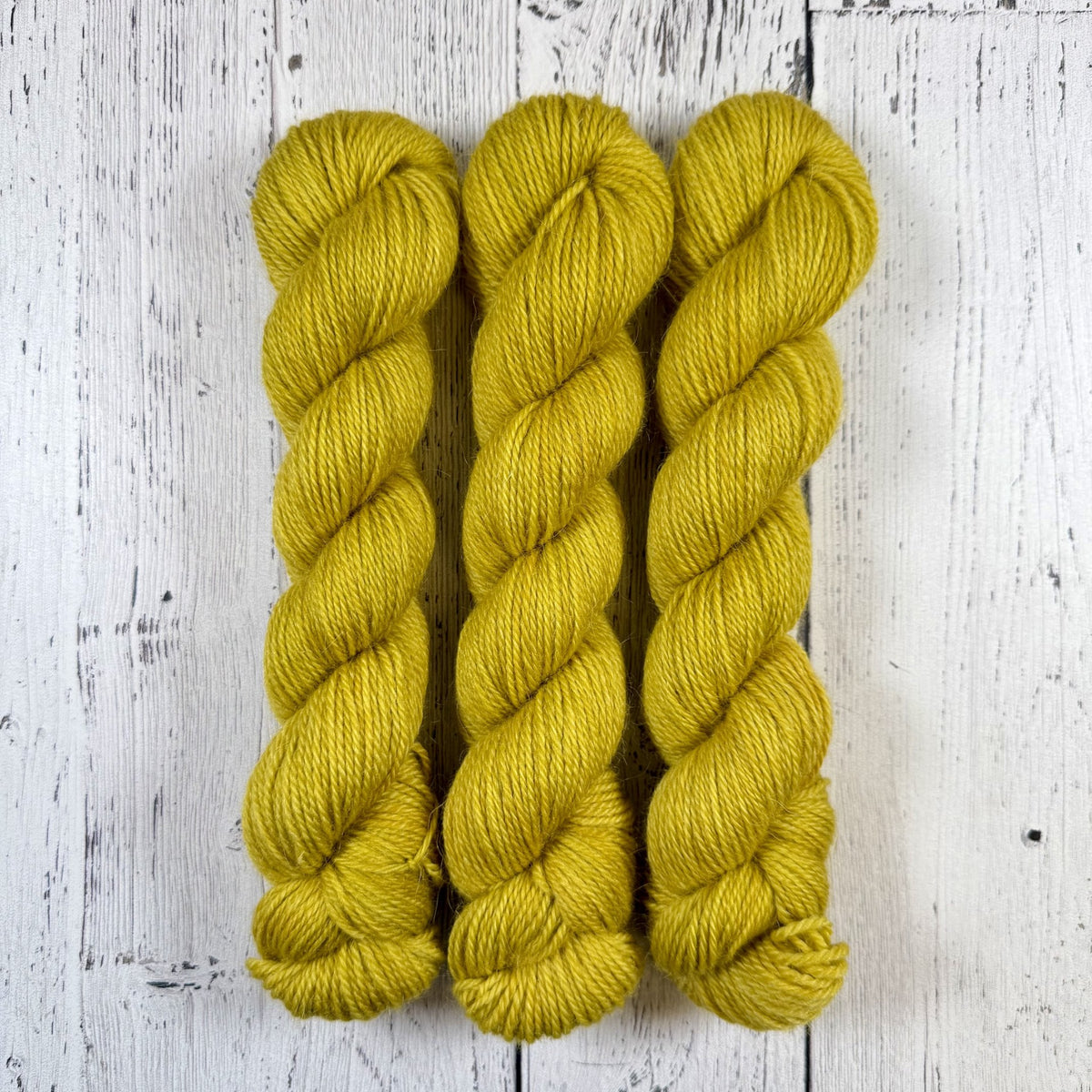 Birch Leaves - Revival Worsted - Dyed Stock