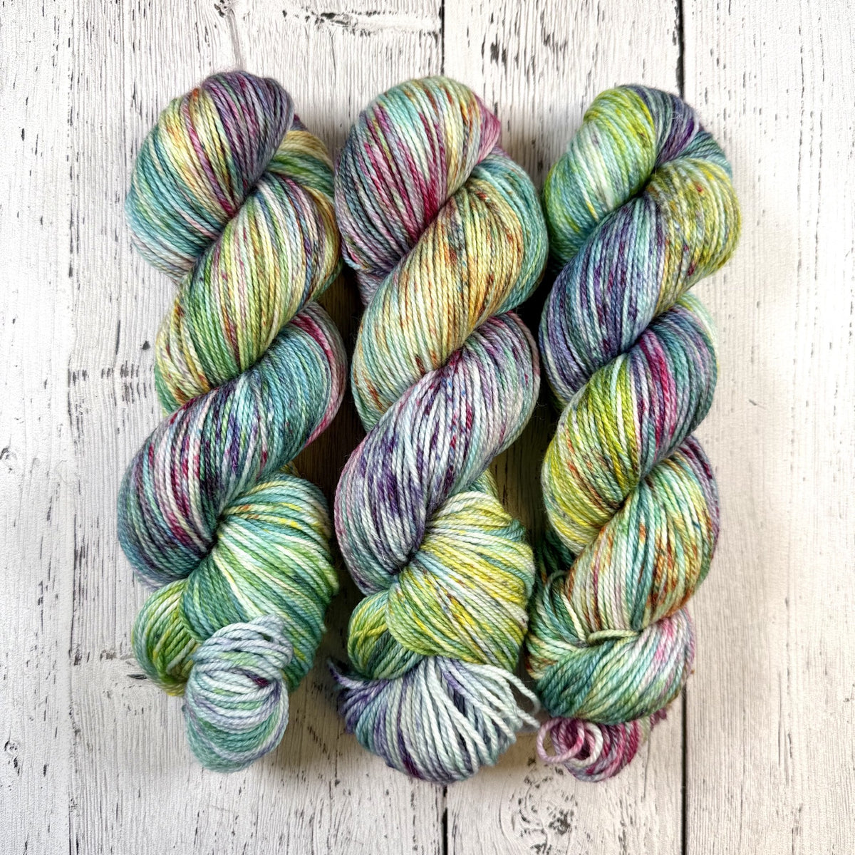 The Color Kittens - Nettle Soft DK - Dyed Stock
