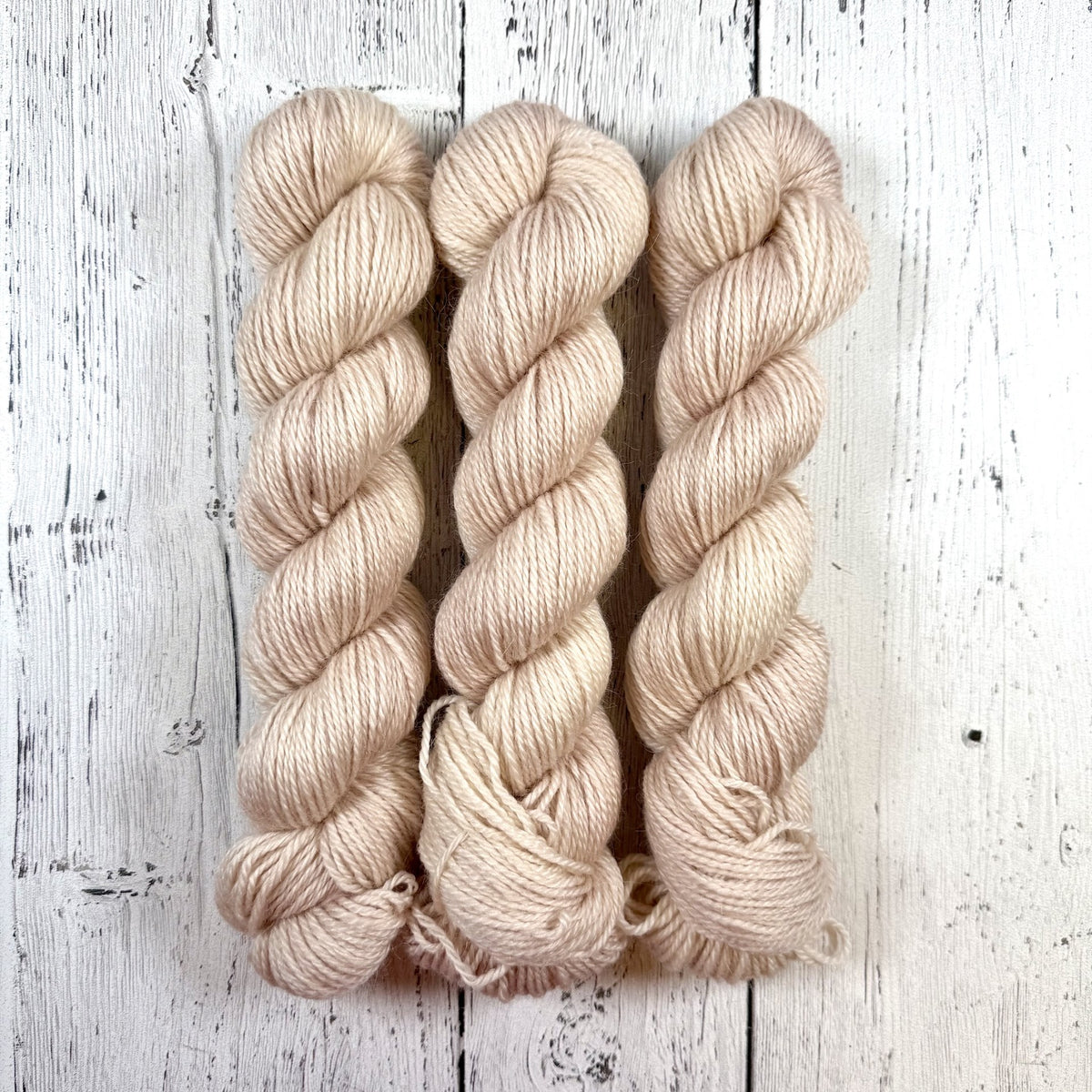 Champagne - Revival Worsted - Dyed Stock