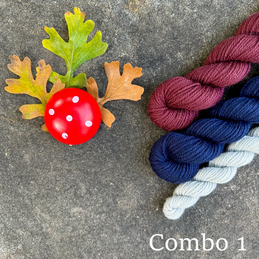 Gnorri Gnome KAL DK Yarn Only Kits (November 2024)