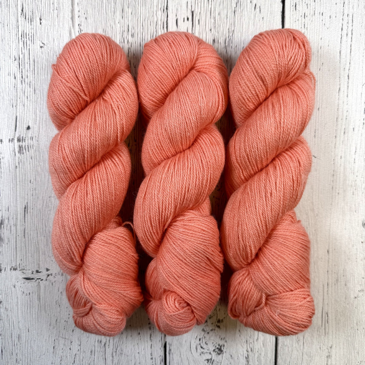 Coral Reef - Little Nettle Soft Fingering - Dyed Stock