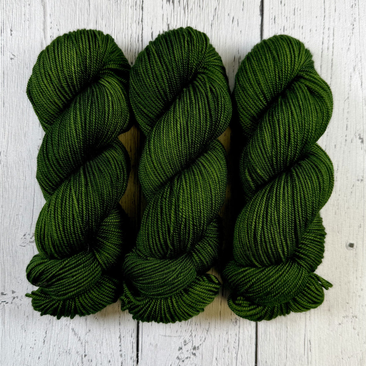 Cypress Tree - Merino DK / Light Worsted - Dyed Stock