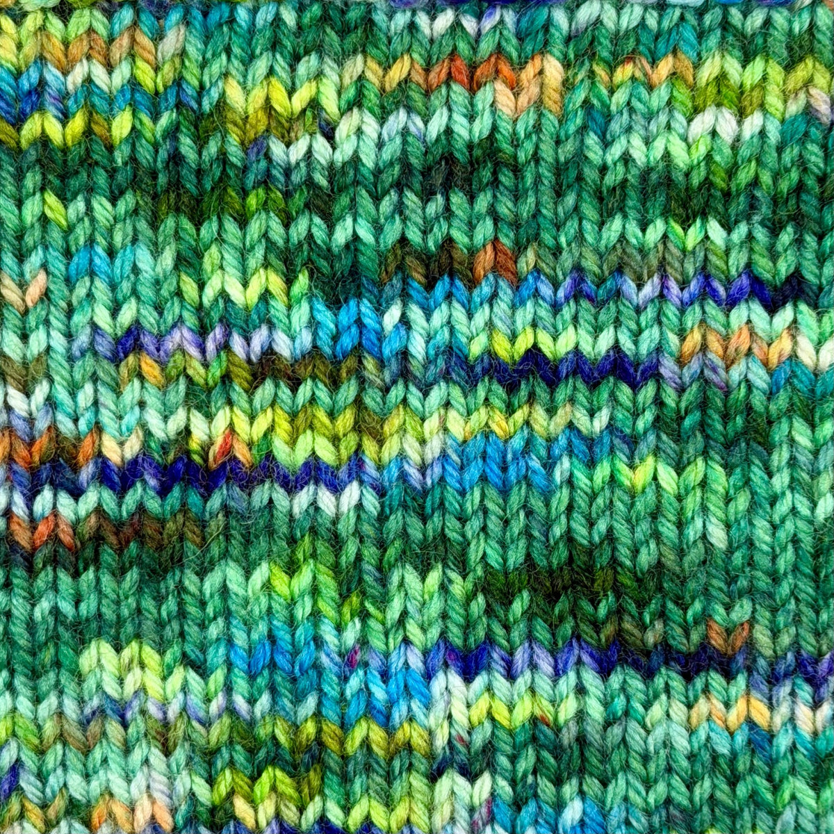 Dinosour - Socknado Fingering - Dyed Stock