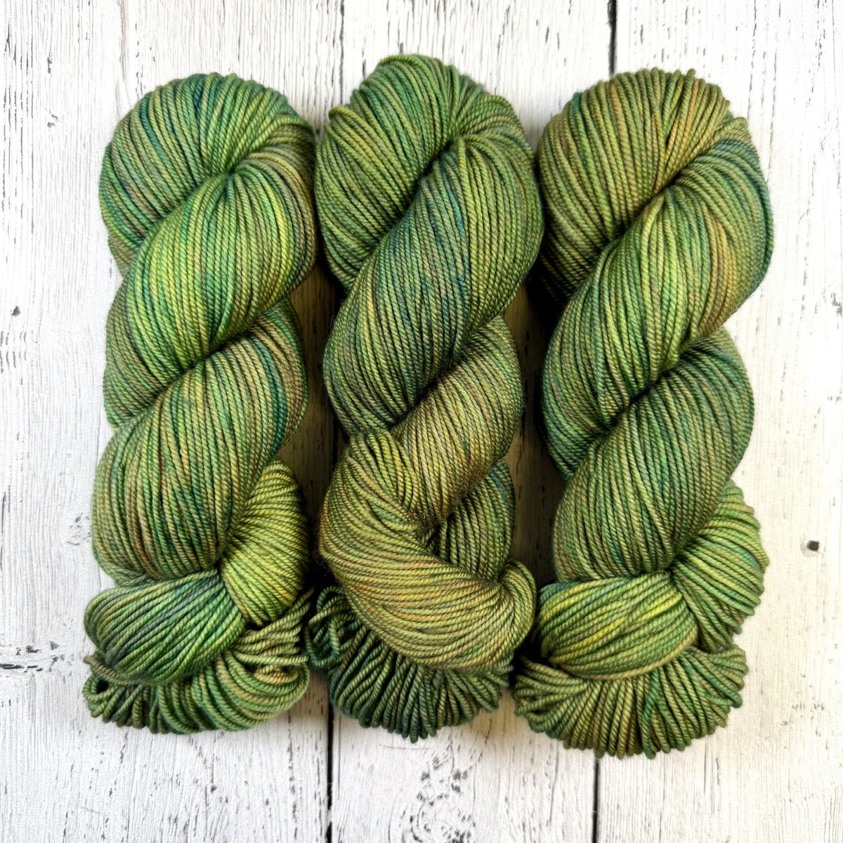 Enchanted Forest - Merino DK / Light Worsted - Dyed Stock
