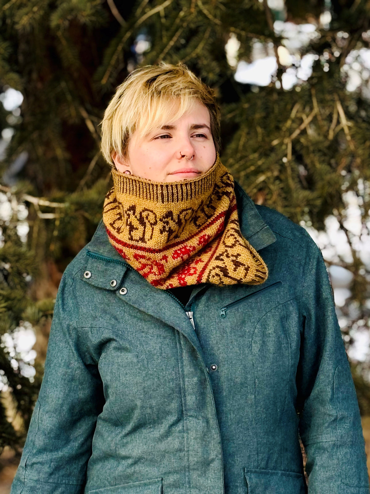 Whimsical Woodland Cowl Pattern