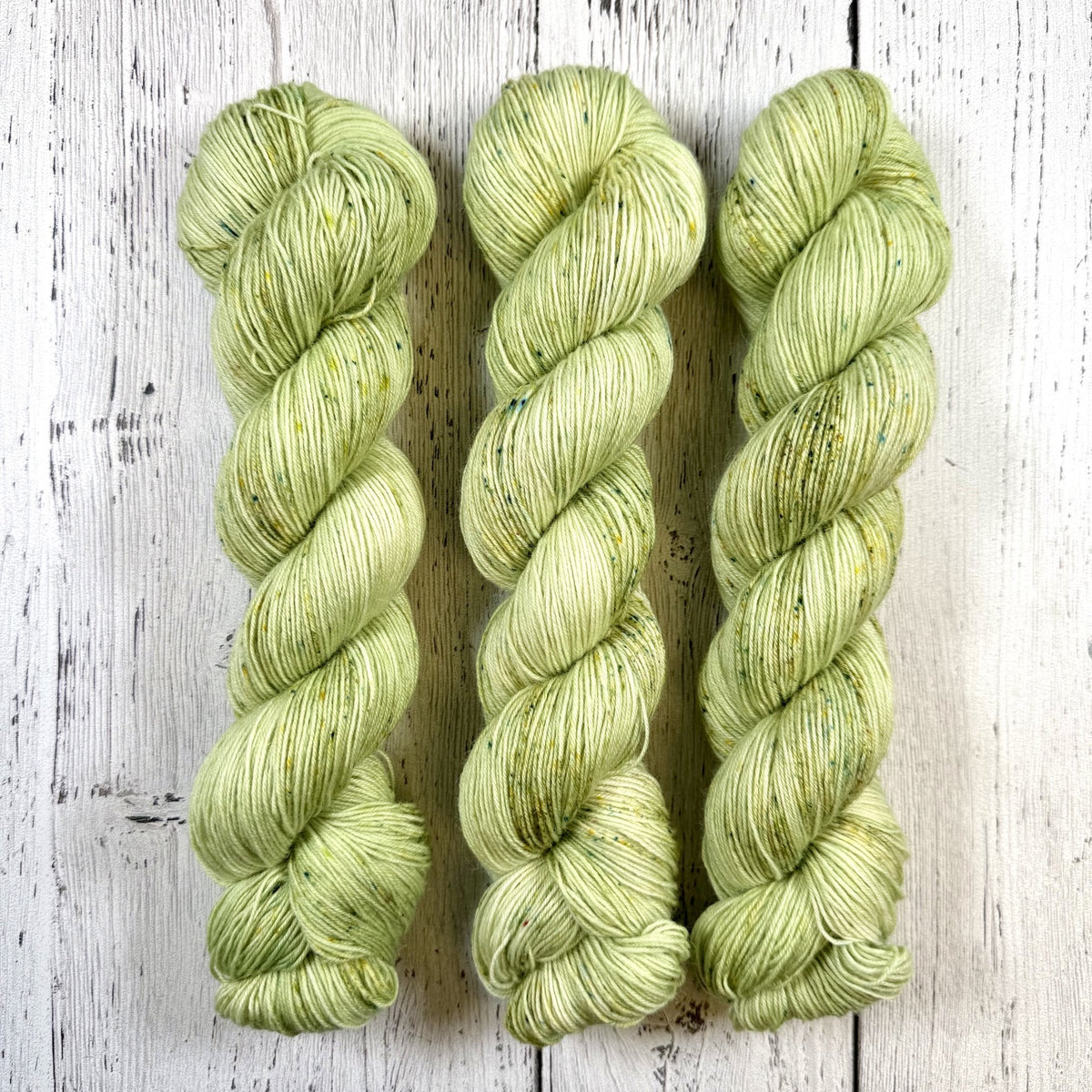 Grasslands - Revival Fingering - Dyed Stock