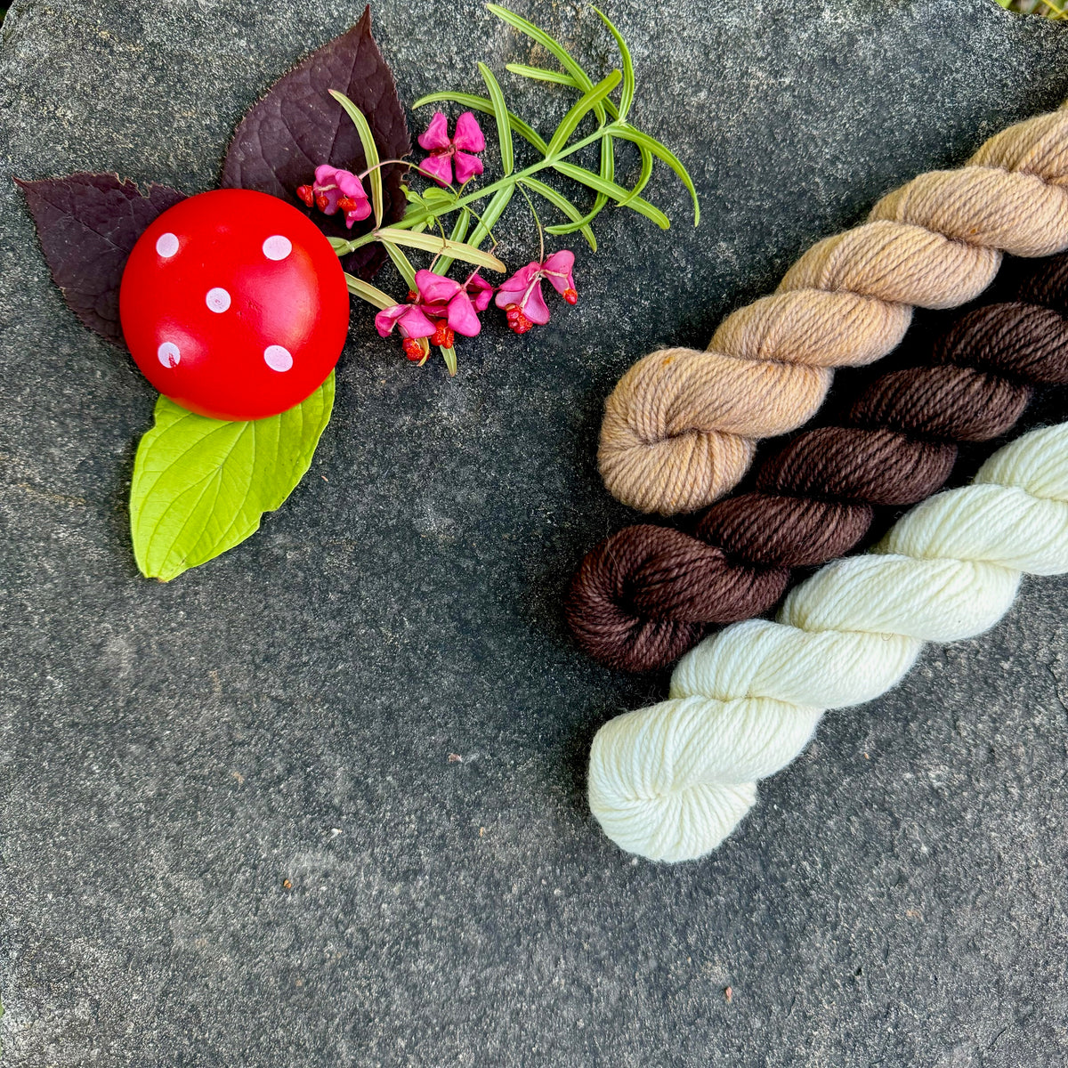 Gnome Kits - Socknado 3 Skeins