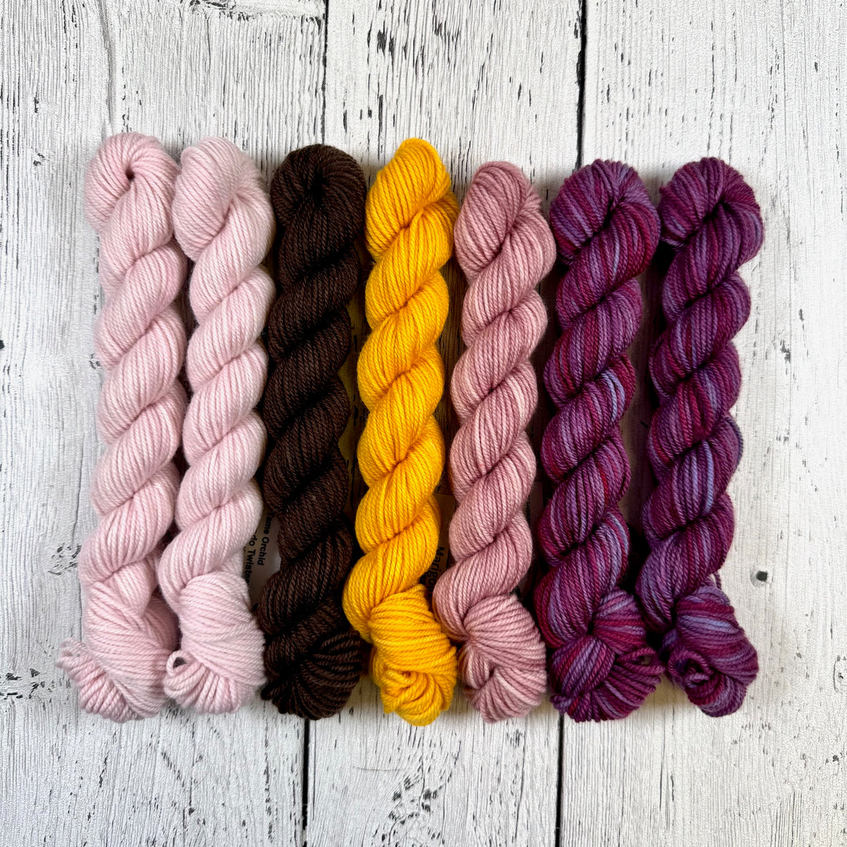 Summer Sock Club 2025 - September Socks KIT