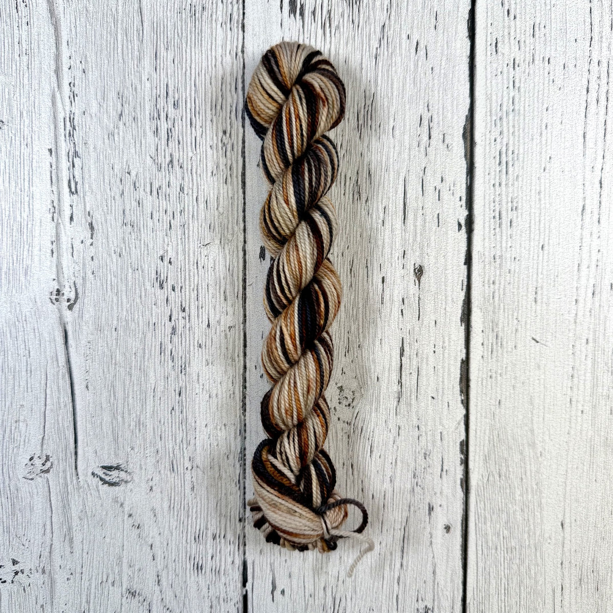 The Widow's Broom! - Mini Twister - October 2026