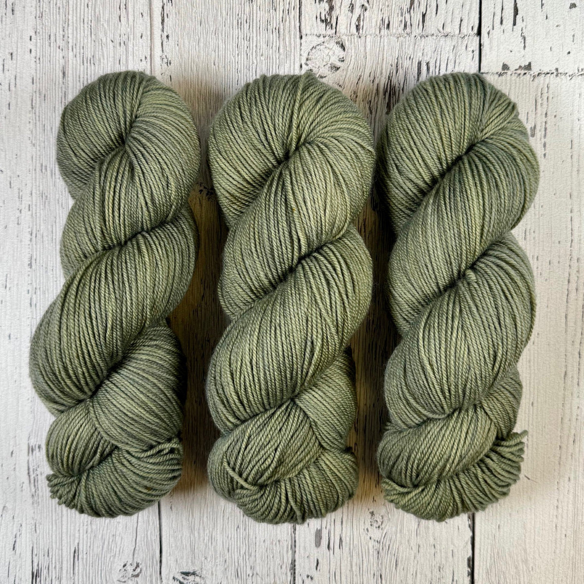 Old Man's Beard - Merino DK / Light Worsted - Dyed Stock
