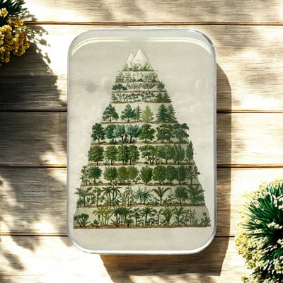 Firefly Notes - Nature Meets Nostalgia Large Tin