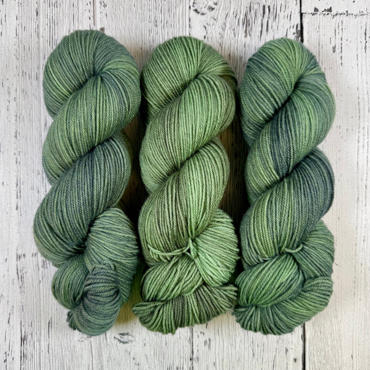 Salal Jungle - Socknado Fingering - Dyed Stock