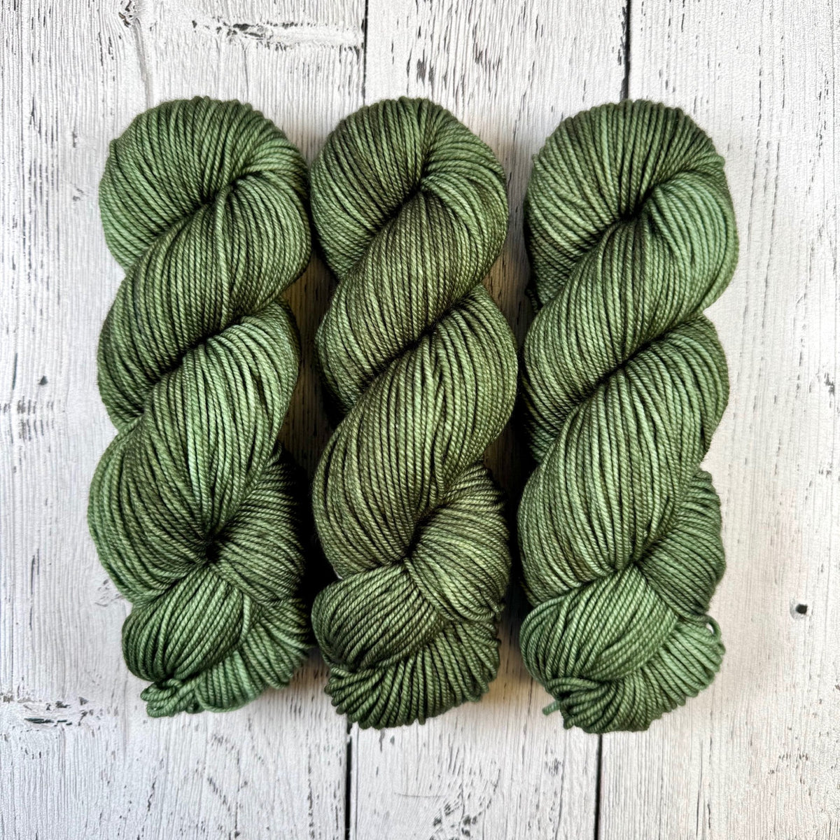Salal Jungle - Merino DK / Light Worsted - Dyed Stock