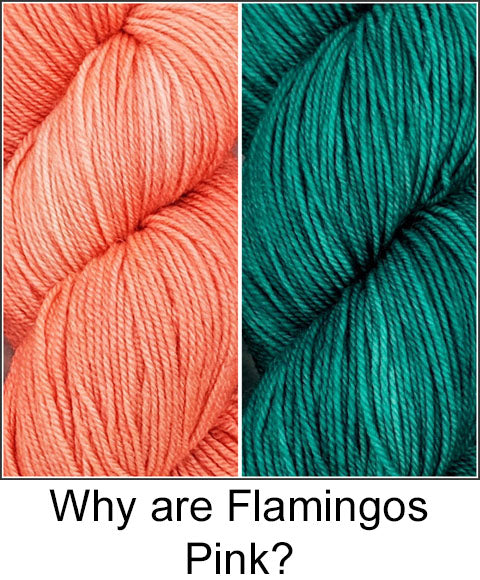 &quot;Why Are Flamingos Pink?&quot; and &quot;Shrimply the Best&quot; Yarn Kits