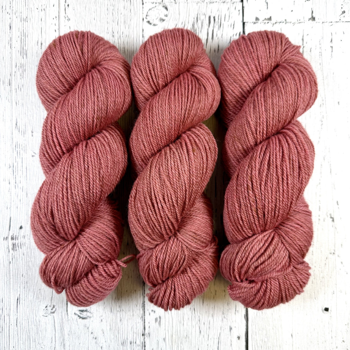 Wild Rose in Lascaux DK