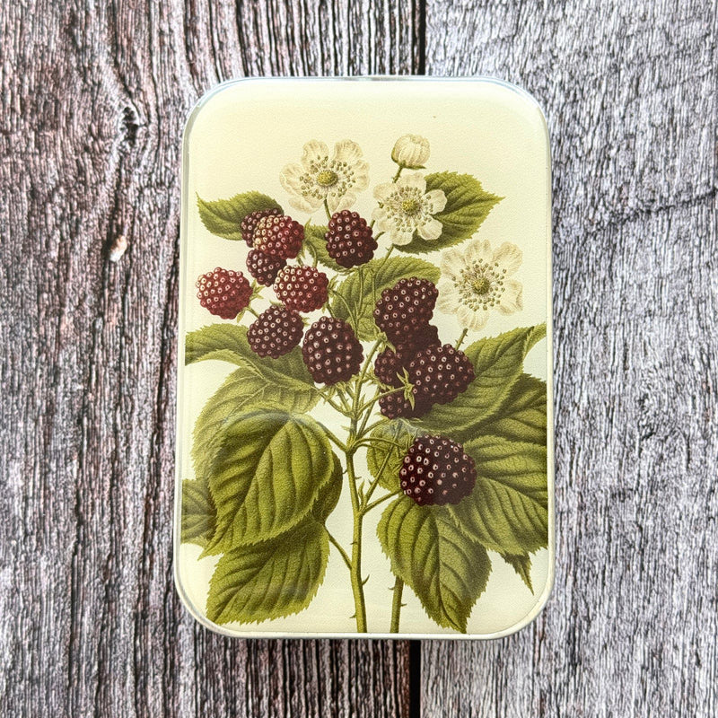 Firefly Notes Large Notions Tin with Bulb Stitch Markers