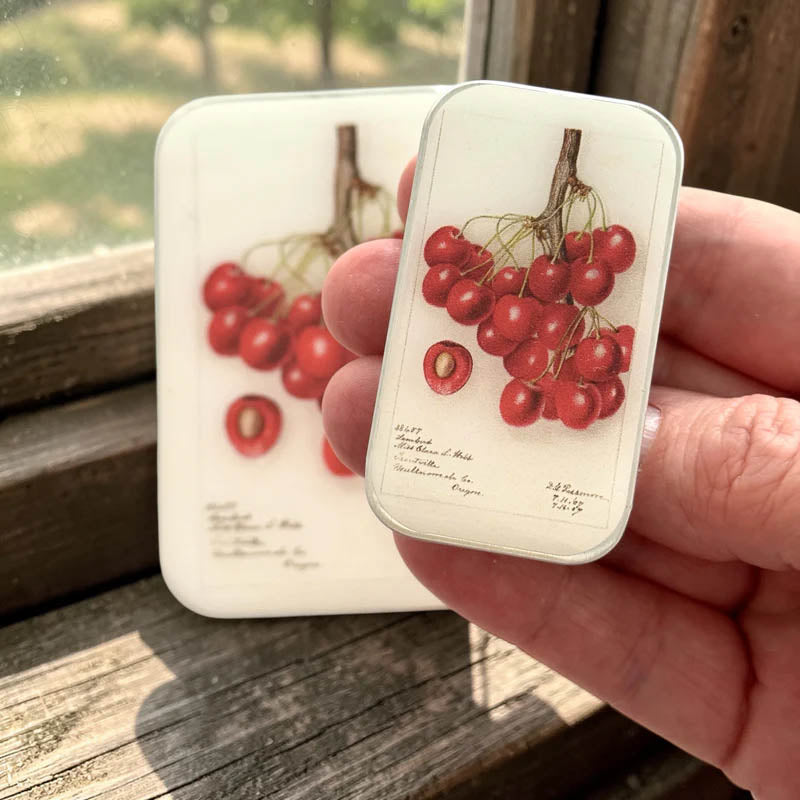 Firefly Notes Small Notions Tin with Bulb Stitch Markers