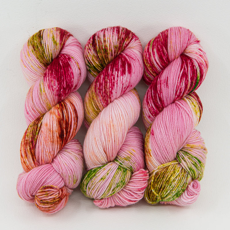 Garden Gnomes and Pink Flamingoes - Merino DK / Light Worsted - Dyed Stock